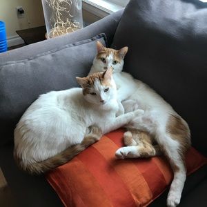 Meet your Posher, Stacy